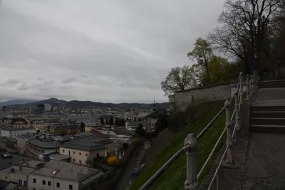 DSC_7045 (Large).JPG